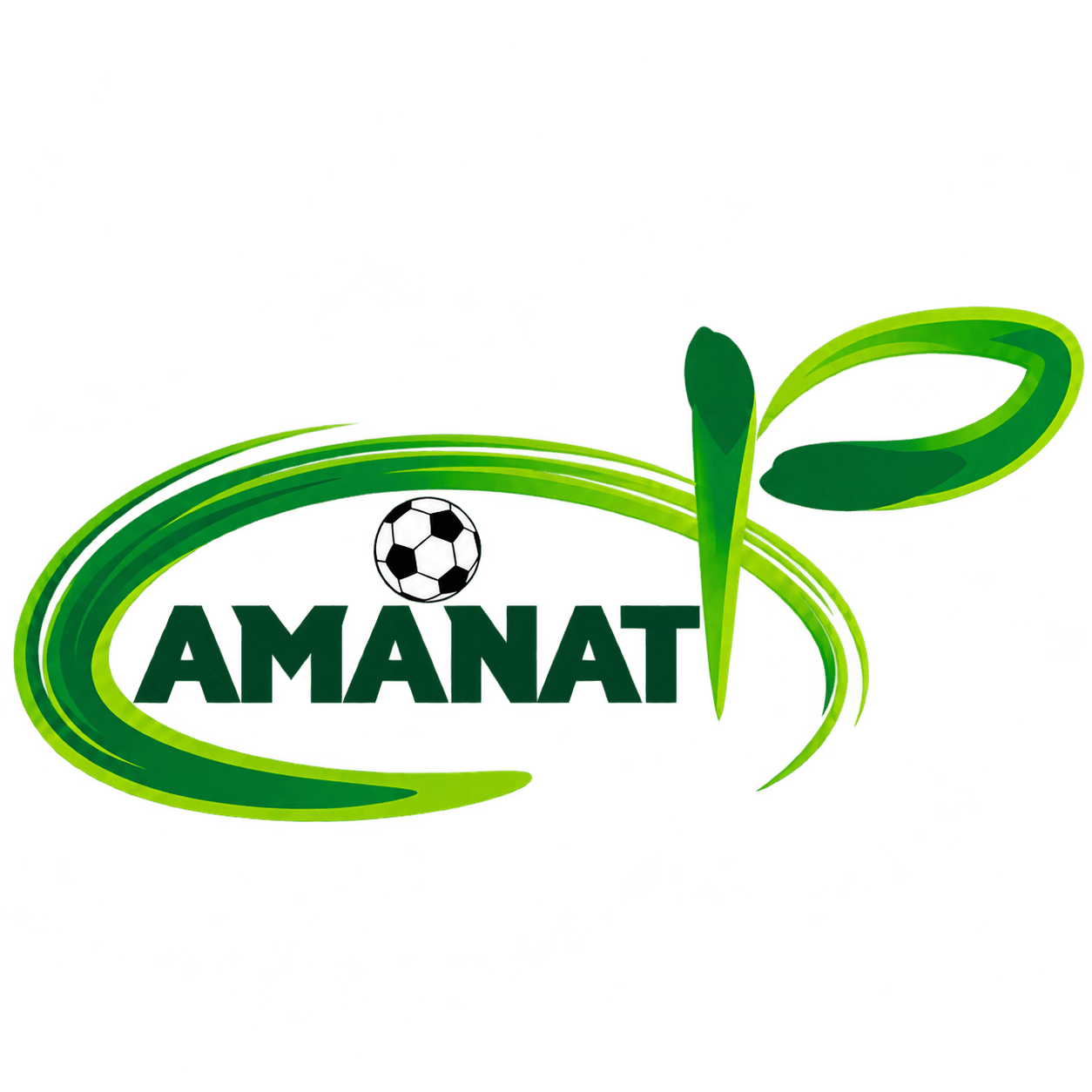 Аманат 2017